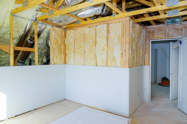 Best Eco-Friendly Insulation Solutions  in USA